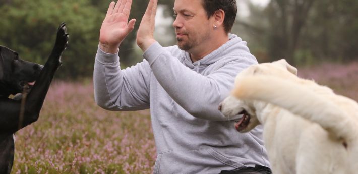 Hundebetreuung in Marl und Umgebung